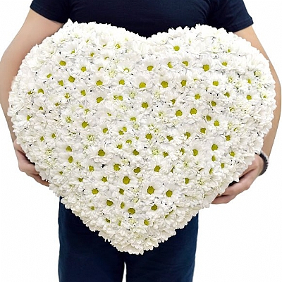 Mega Kalp Kutuda Papatyalar