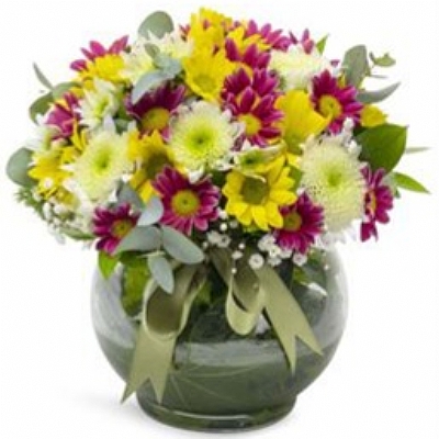 Fanusta Rengarenk Papatyalar