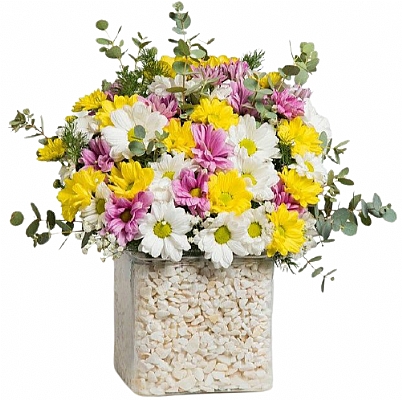 Kare Camda Rengarenk Papatyalar