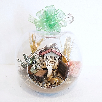 Öğretmenler Günü Orta Boy Terraryum