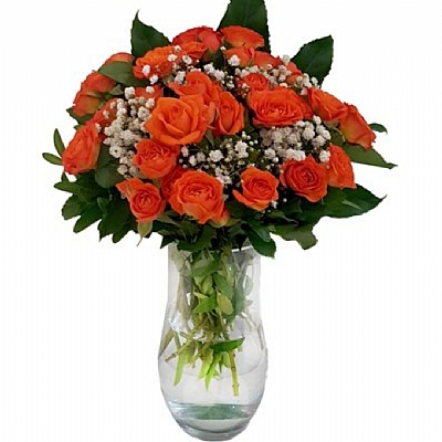 Vazoda Çardak Güller