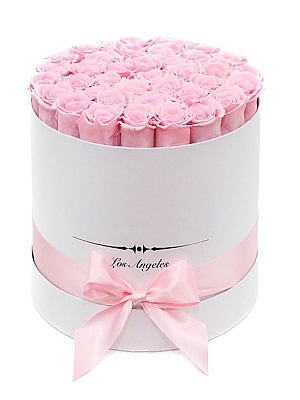 Kutuda Toz Pembe Güller